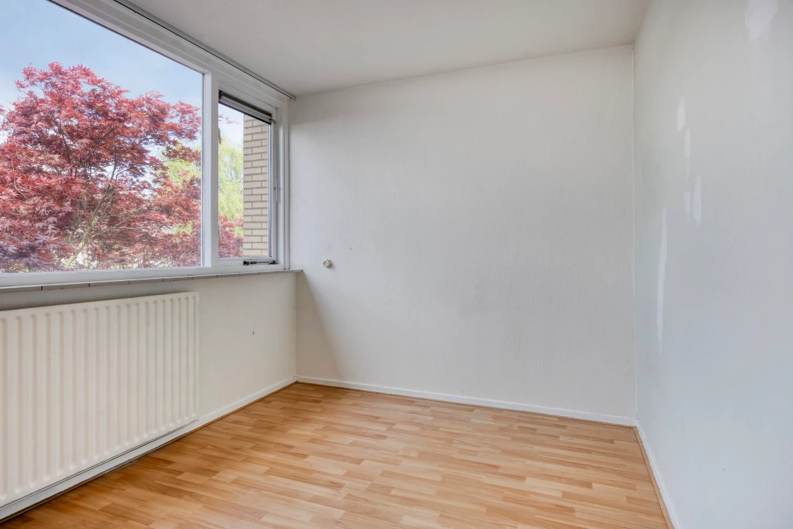 Lege kamer met witte wanden, een laminaatvloer en een groot raam met uitzicht op een rode esdoorn